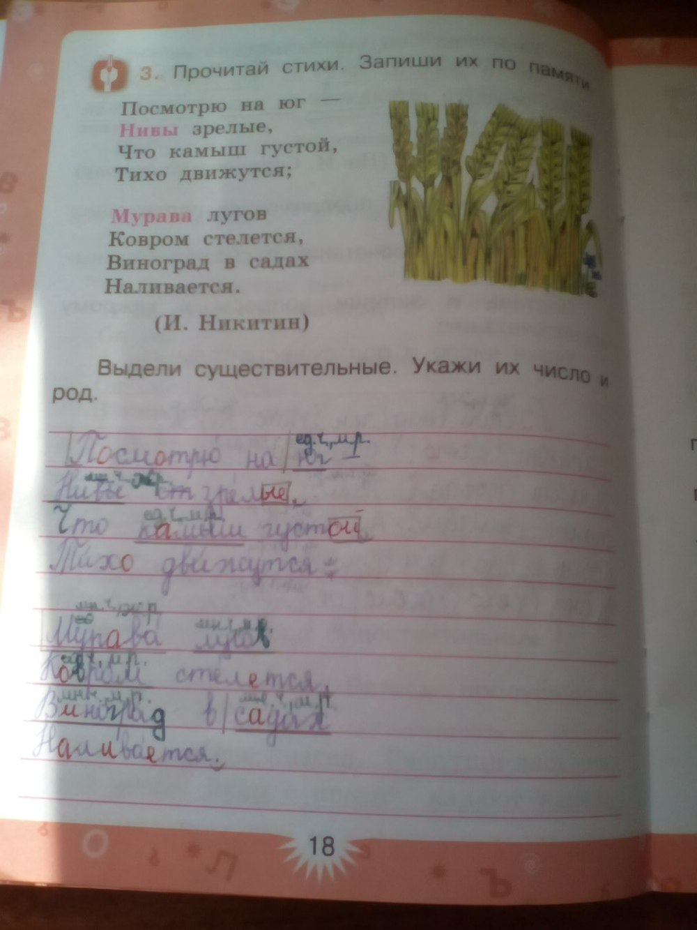 Русский язык 3 класс зеленина хохлова упражнение решение