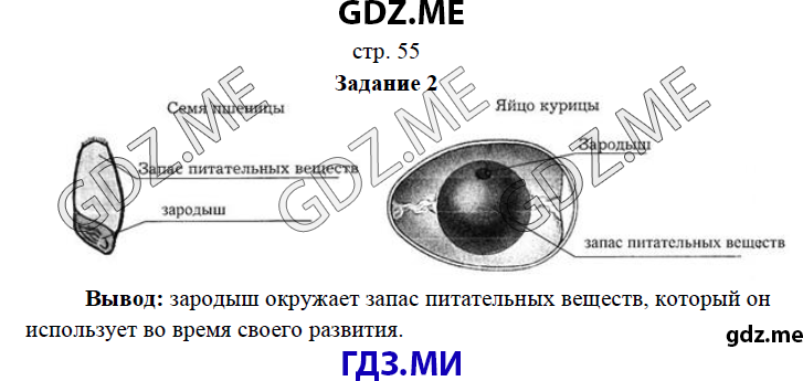 Биология 5 класс стр 17