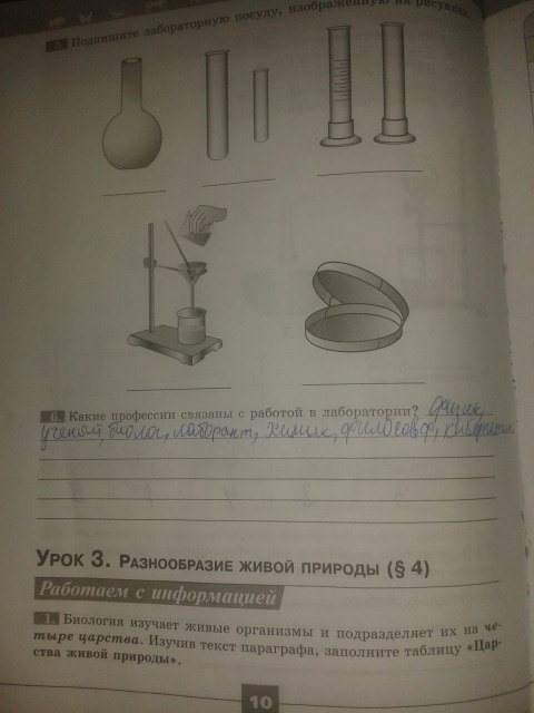 Биология страница 117 моя лаборатория 5