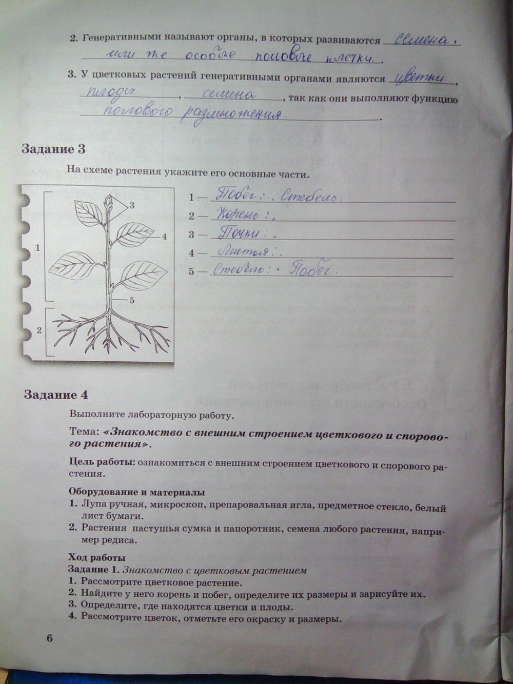 Биология 6 класс учебник пономарева 15 параграф