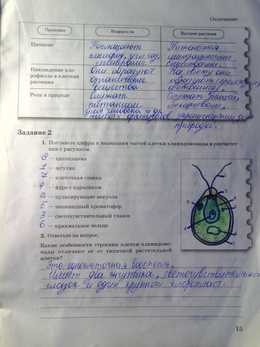 Решебник По Биологии 6 Класс Рабочая Тетрадь Бодрова Решебник По Биологии 6 Класс Рабочая Тетрадь Бодрова